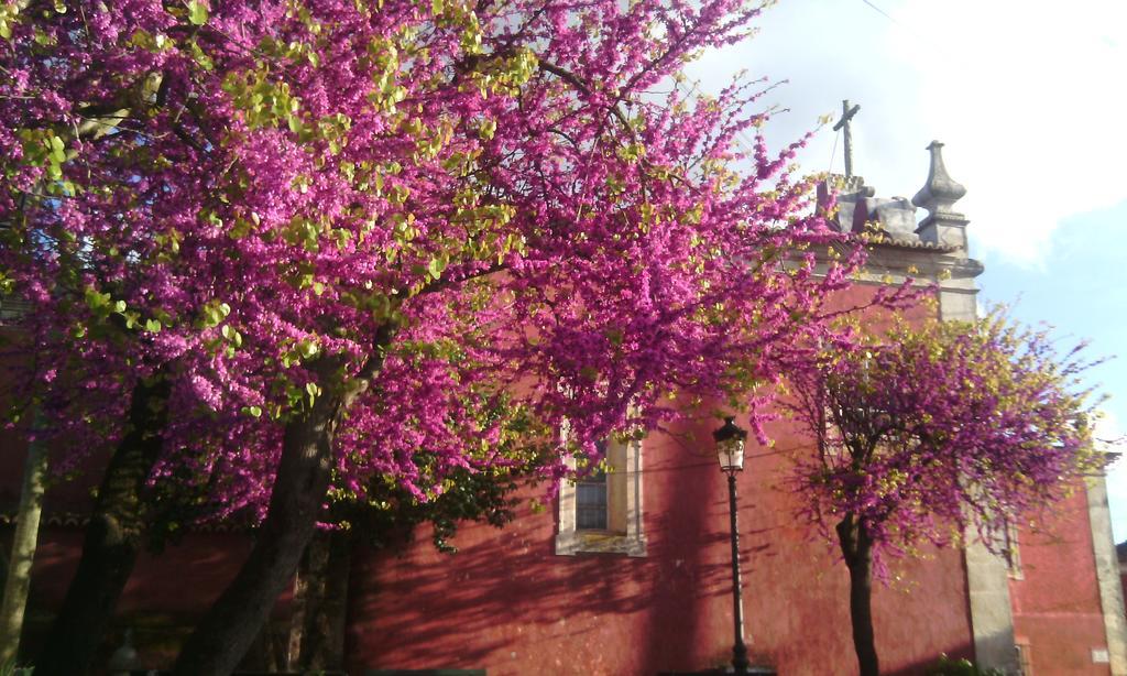 토레스노봐스 Casa Dos Vargos B&B 외부 사진